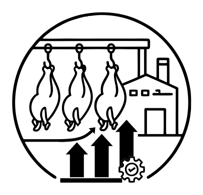 Processing Capacity